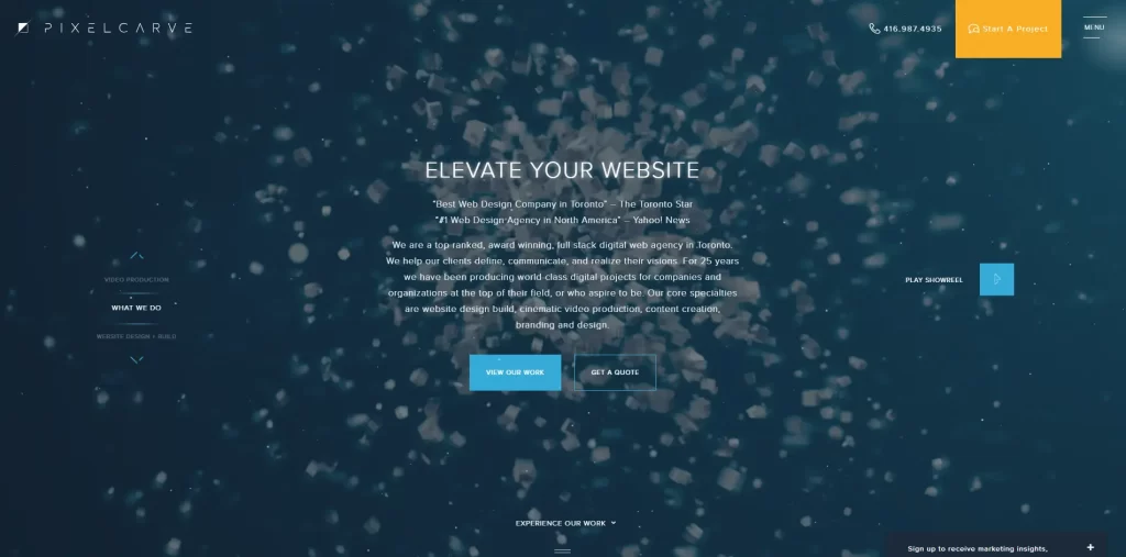 website screenshot of pixelcarve